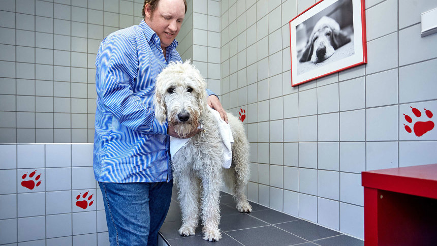 Ein Mann steht in einem gekachelten Raum und trocknet einen Hund mit einem Handtuch ab.