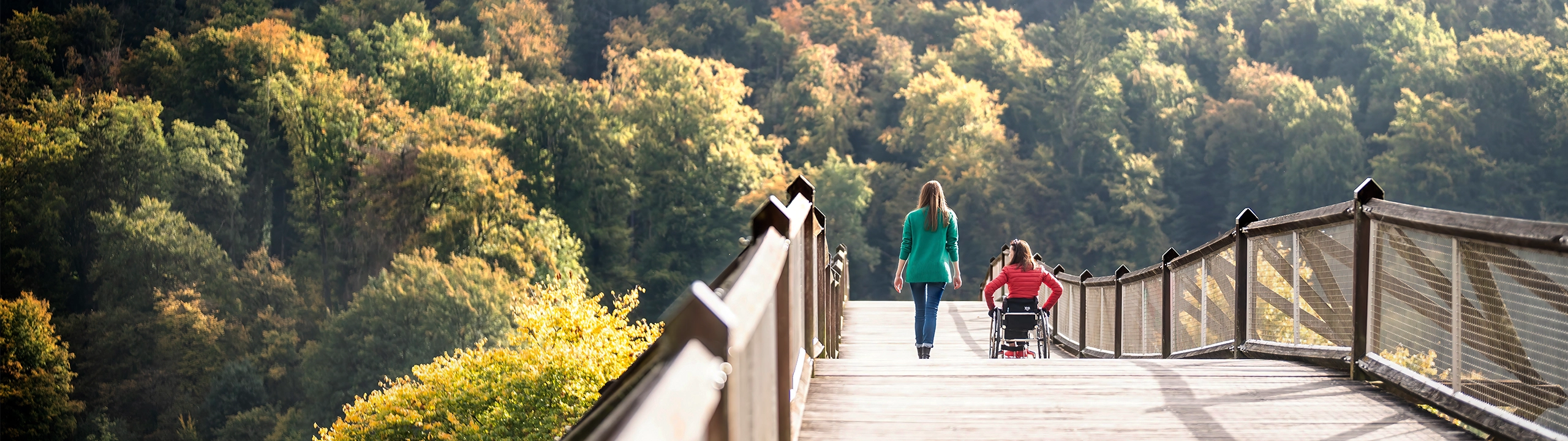 Eine gehende Person und eine Person im Rollstuhl auf einer Brücke in der Natur.